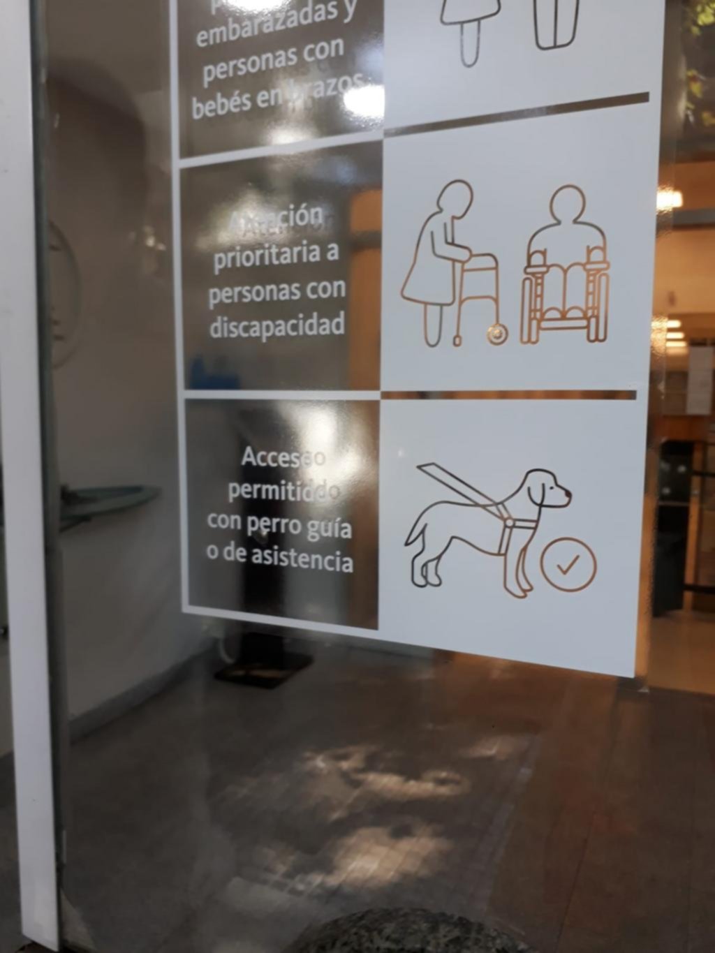 Discapacidad es ley la asistencia con perros y prevé multas