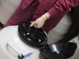 Embriones congelados: un dilema ético que se busca salvar con una ley
