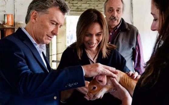 Macri y Vidal visitaron juntos un criadero de cerdos antes de un nuevo timbreo