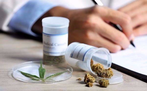 Piden que se facilite la producción de remedios — Cannabis medicinal