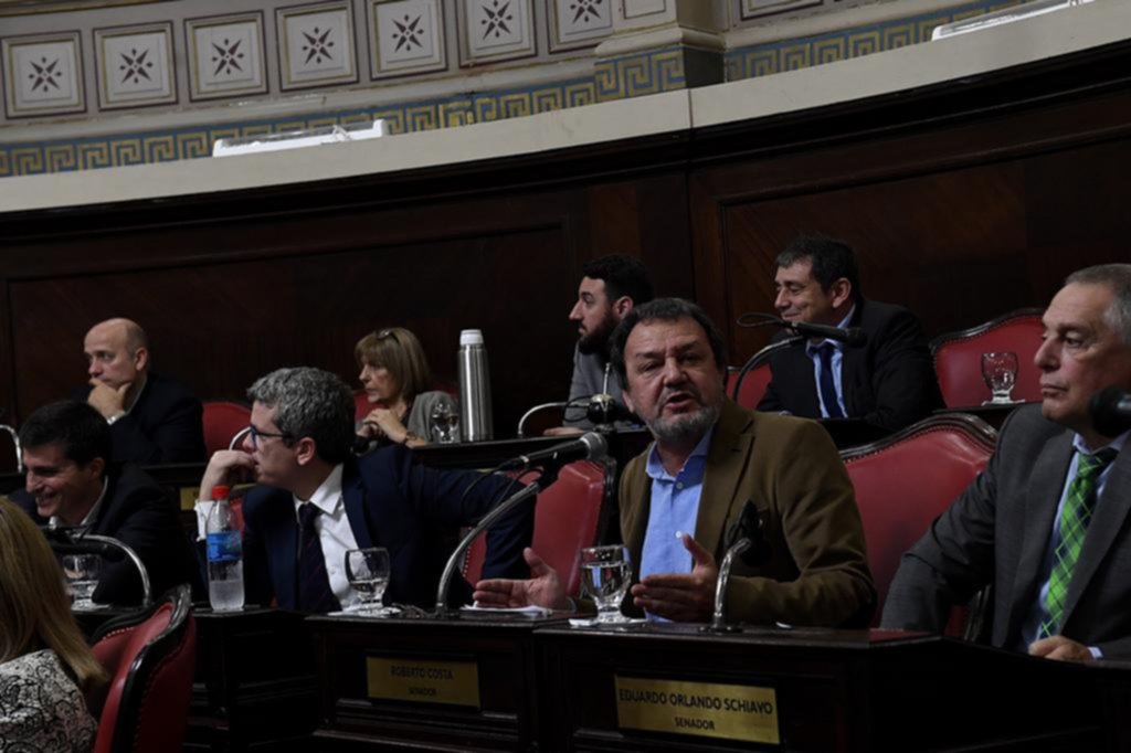 Aprobaron el pliego de designación de Sánchez Zinny en Educación — Provincia