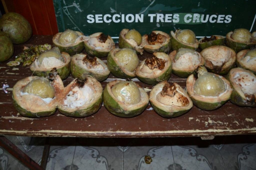 La imaginación de los narcos para ocultar la droga en viaje no tiene límites