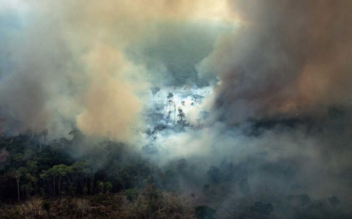 Arde otro pulmón verde del planeta hay más incendios en África que