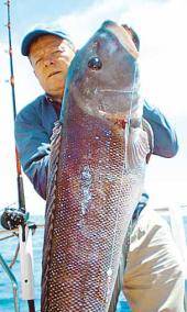Complicada pesca desde el muelle de Mar de Ajó