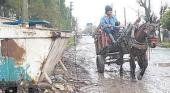 Proyecto contra el maltrato a caballos