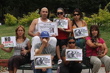 Plaza Italia: reclaman medidas
para la protección de animales