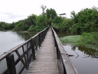 Parana y el rio (altura libertador al 4.000)  Partido de Vicente López