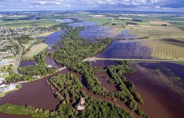 Admiten “altísimo porcentaje” de pérdidas por las inundaciones