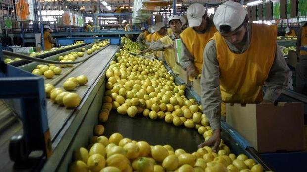 Estados Unidos suspende importación 
de limones argentinos