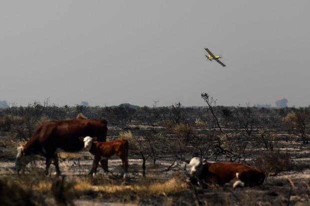 Aseguran que están controlados todos los focos del incendio