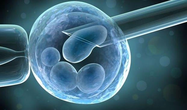 Aseguran que la calvicie se puede controlar activando células madre