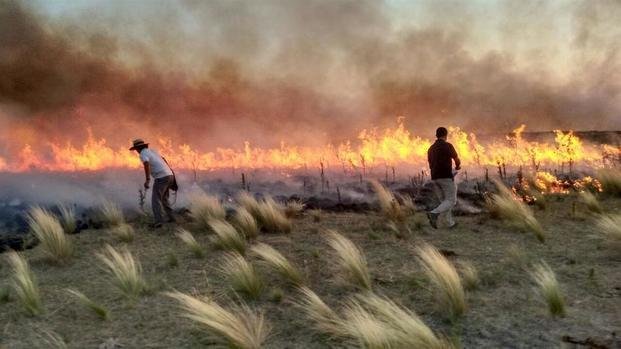 El incendio en La Pampa permanece activo y superó límite con Buenos Aires