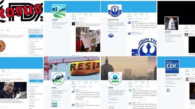 Florecen los tuiters alternativos de cuentas oficiales en contra de Trump