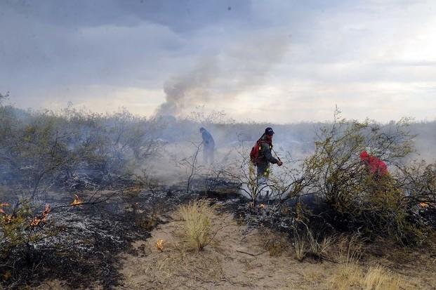 Nuevos focos de incendio volvieron  a surgir en la provincia de La Pampa