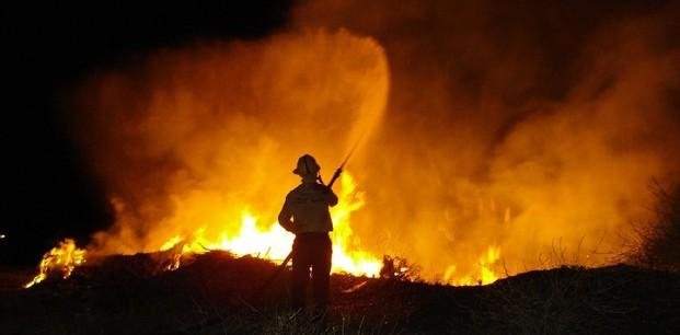Río Negro: incendios consumieron más de 270 mil hectáreas