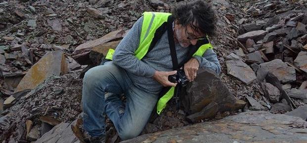 Tras dar con un registro de vida de hace 545 millones de años, buscan nuevas muestras