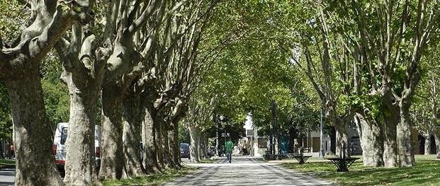 Algunas nubes y máxima de 30 grados en la Ciudad