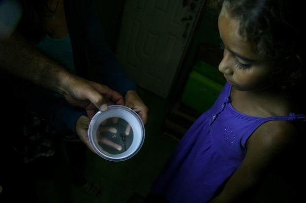 Apareció otro alacrán en San Carlos y los vecinos piden urgentes tareas de limpieza