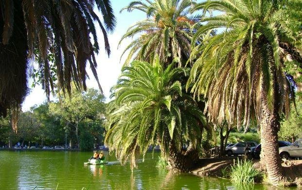 Cielo algo nublado y máxima de 29 grados en la Ciudad