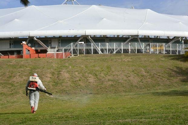 Dengue: aguardan por los análisis y refuerzan tareas de prevención