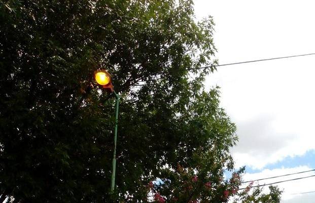 Denuncian luminaria encendida todo el día en 42 y 131
