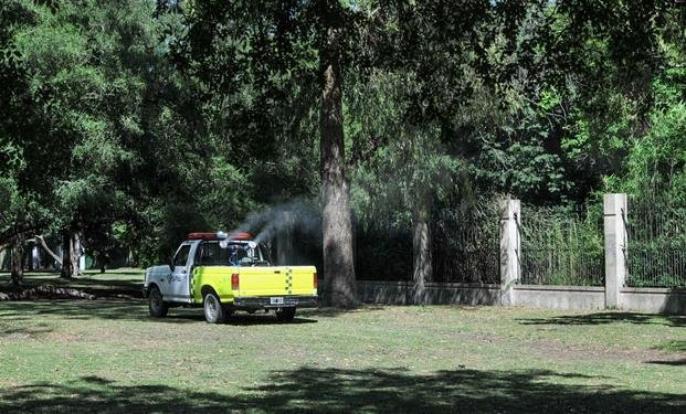 Intensifican fumigaciones en la Ciudad para prevenir el dengue