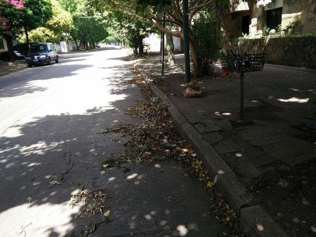 "Los barrenderos dejaron de pasar",
afirman en 71, 24 y 25