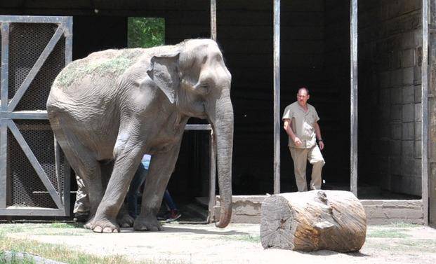 Se invertirán más de $12 millones para transformar el Zoo en un Bioparque