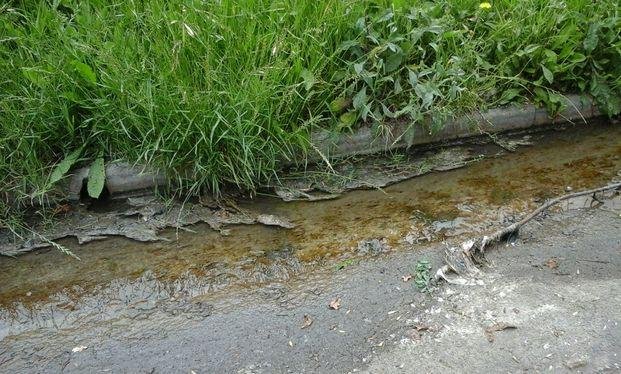 Vecinos denuncian que evacúan aguas servidas desde la Unidad 9