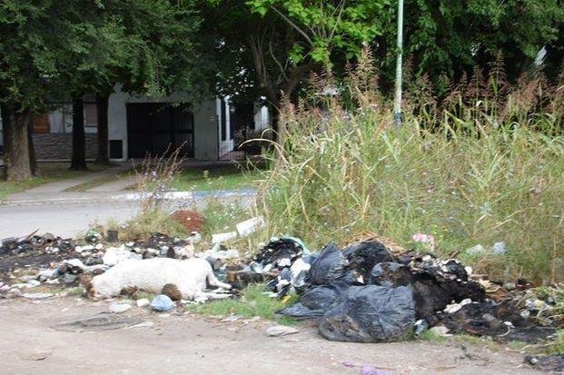 Lanzarán un número de reclamos vecinales