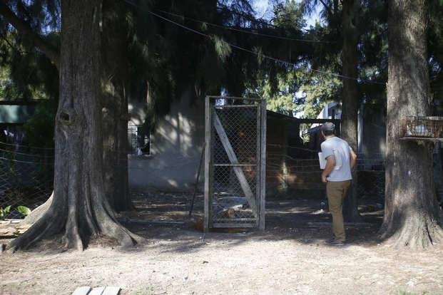 Balearon a una joven en un asalto en La Granja