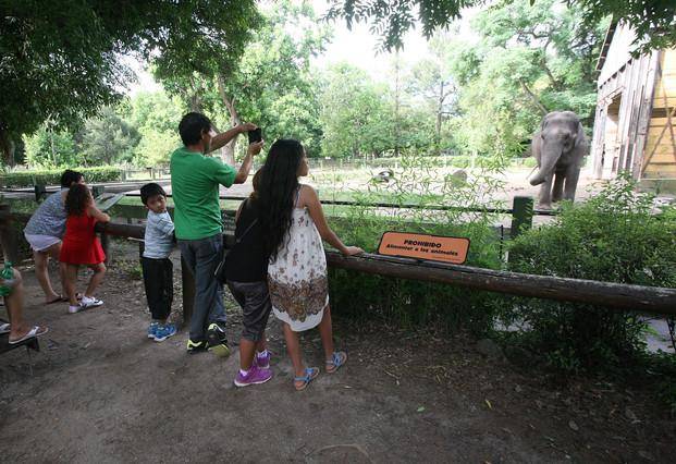 El Municipio encara la modificación del Zoo local