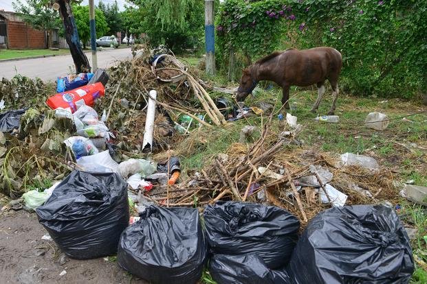 Tapados de basura en barrios de Berisso
