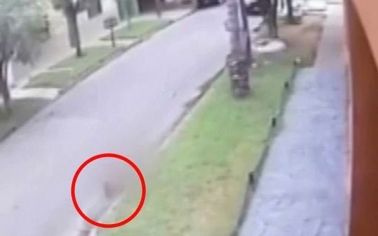 Está grave un nene de 5 años atropellado por "motochorros"