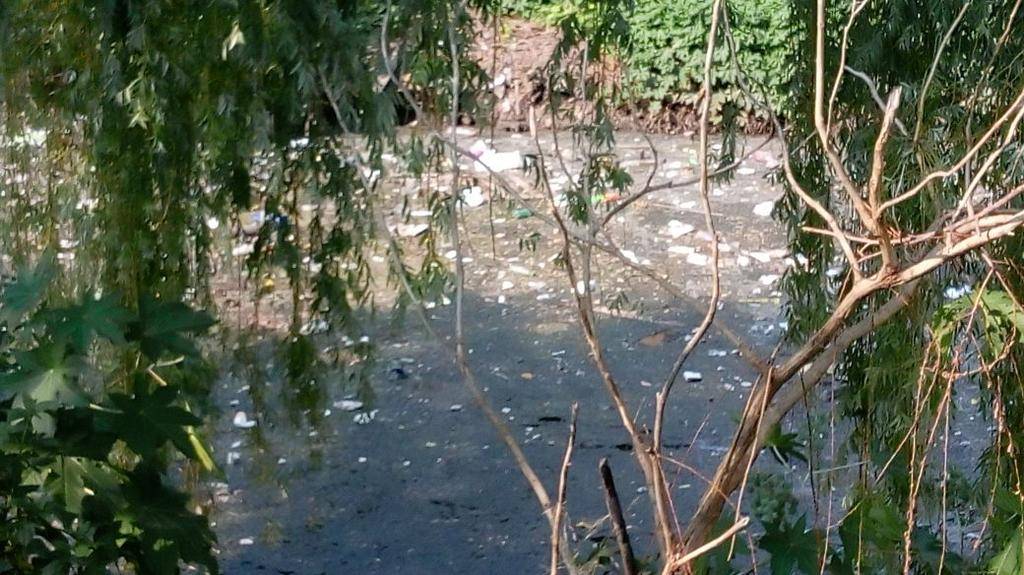 Un tramo del arroyo Pérez, degradado por la contaminación