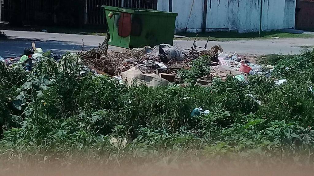 Malestar por la basura que se acumula en 78 bis y 17