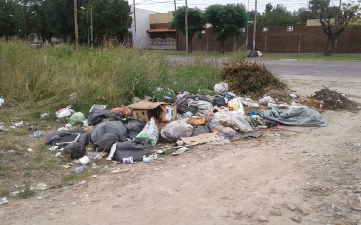 Reclamos por falta de recolección de basura en la Región