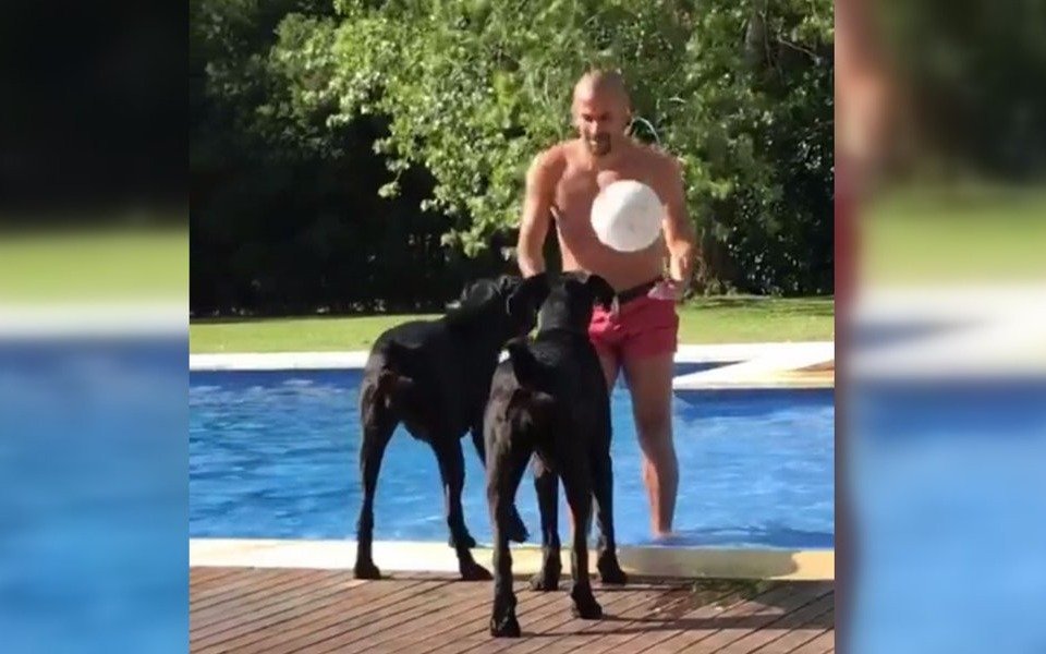 Dignos perros de la Bruja