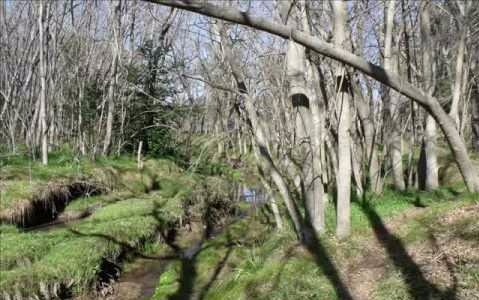 Lanzan una serie de medidas para evitar incendios forestales en verano