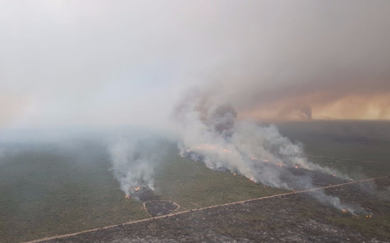 Envían ayuda para combatir los incendios forestales en Buenos Aires, La Pampa y Mendoza