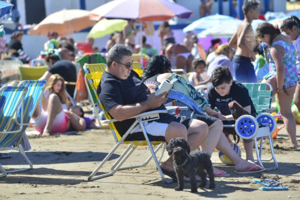 Sombrilla, heladerita y perro: las mascotas también se toman vacaciones