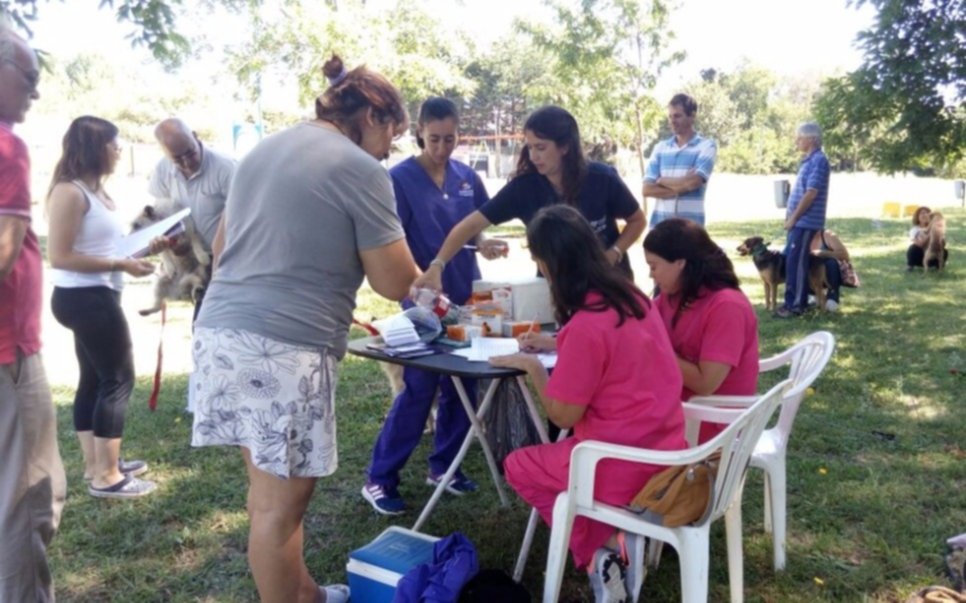 El Municipio vacunó a más de 150 mascotas en una nueva jornada veterinaria en El Rincón