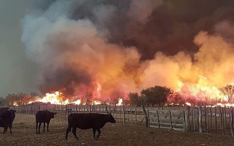  En Mendoza todavía hay focos de incendio aunque están "controlados": más de 120  mil hectáreas arrasadas