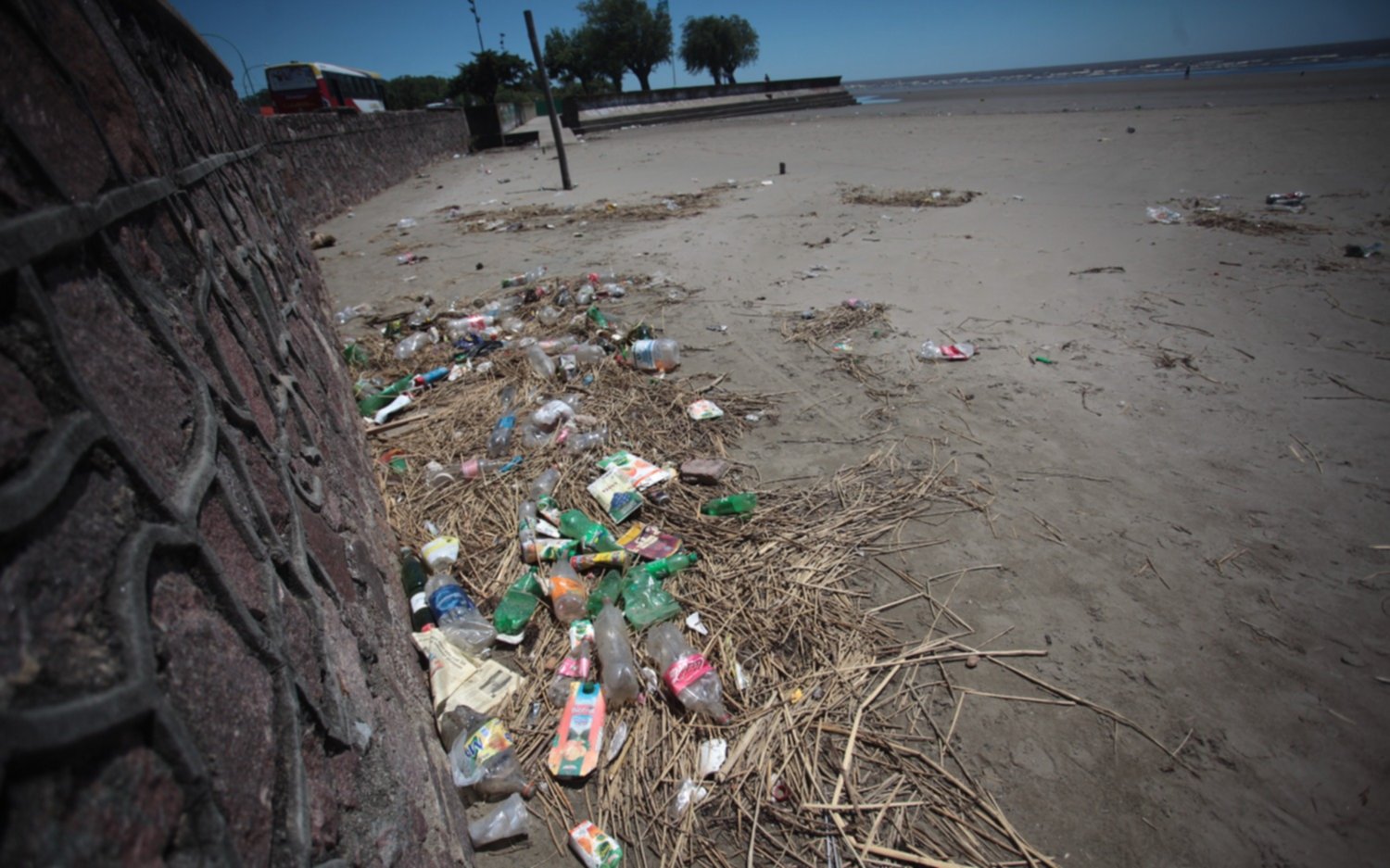 Punta Lara: preocupación por la acumulación de basura en la playa