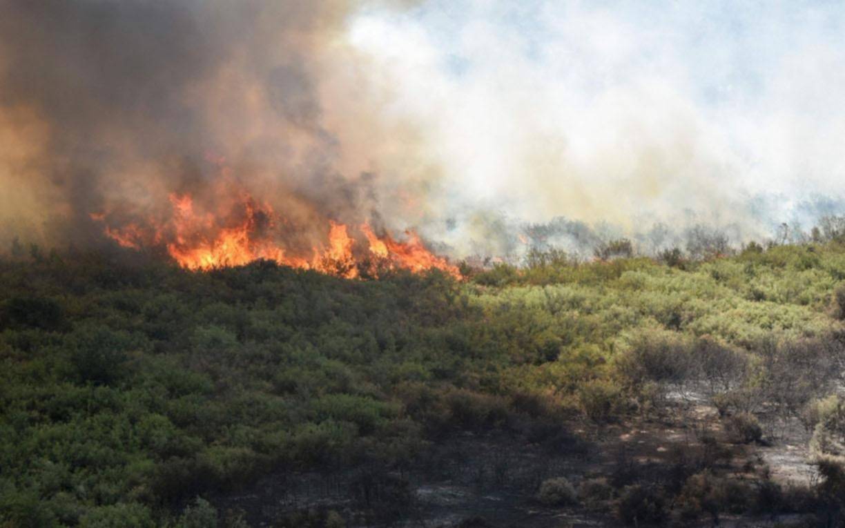 Los incendios en La Pampa y Mendoza afectaron cerca de 300.000 hectáreas