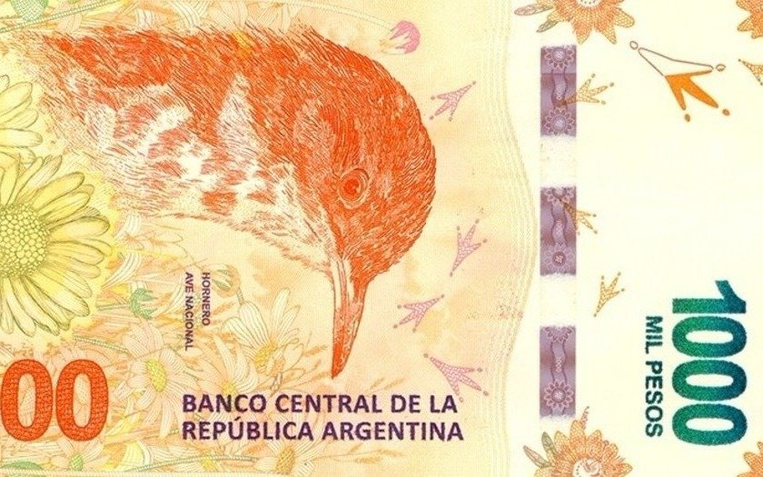 Alertan sobre la presencia de billetes de mil pesos falsos en Mar del Plata