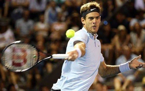 Del Potro ganó y jugará la final en Nueva Zelanda
