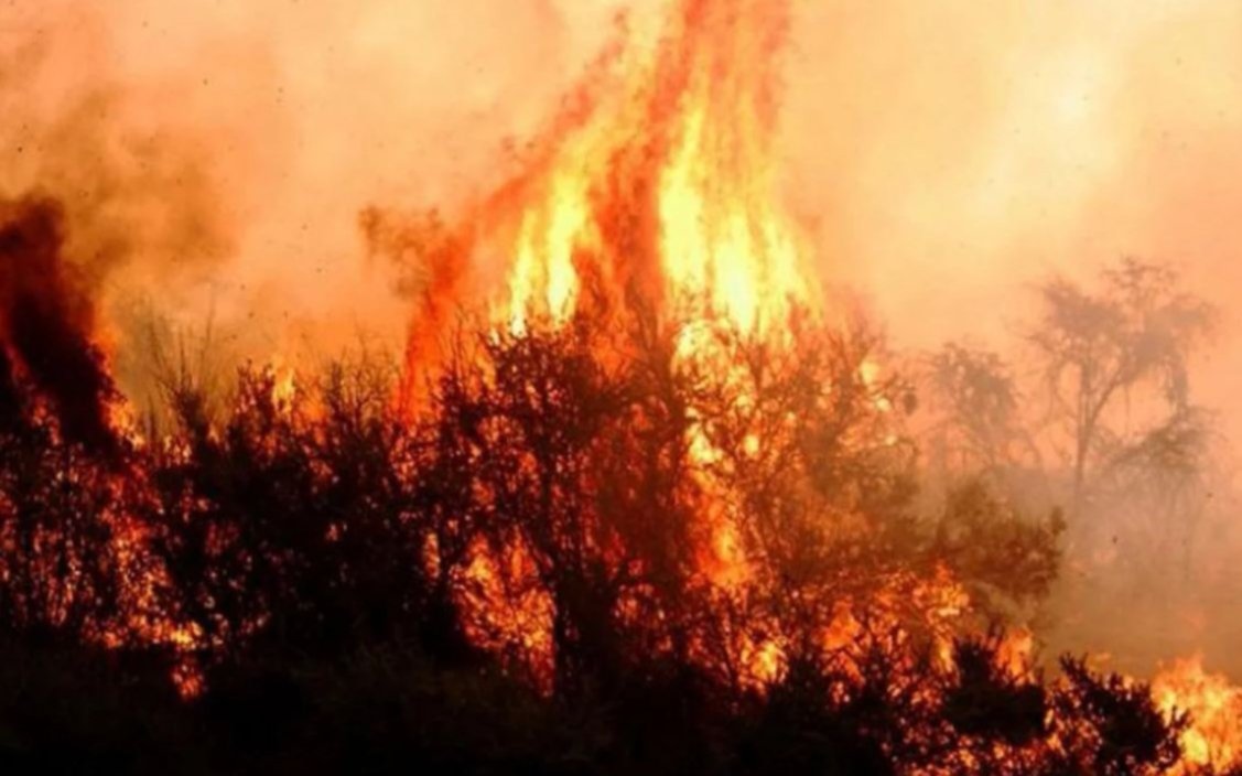 La Pampa: más de 280 mil hectáreas se quemaron en lo que va de la temporada