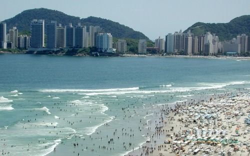 Brasil: declaran a San Pablo "zona de riesgo de fiebre amarilla"
