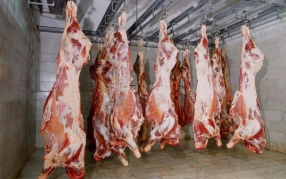 China recibirá carne con hueso vacuna y ovina de Argentina